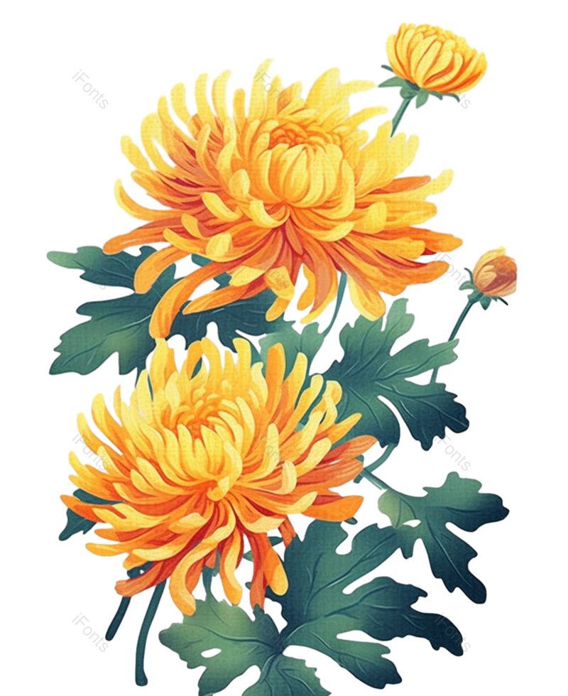 黄色的花图片,白色背景元素,灰色背景PNG,免抠素材